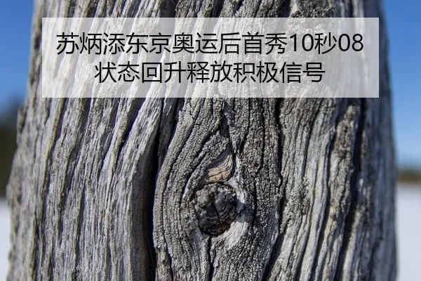 苏炳添东京奥运后首秀10秒08 状态回升释放积极信号